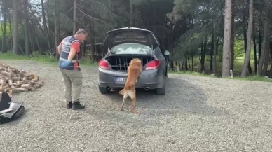 Narkotik dedektör köpeği araca zulalanmış uyuşturucu buldu: 12 gözaltı