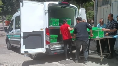 Para istediği dayısını olumsuz yanıt alınca öldürdü