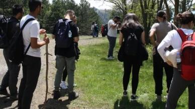 Sarıçiçek Yaylasına Doğa Yürüyüşleri Düzenlendi