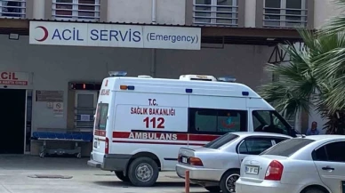 Tarlasında ot temizlerken yılan soktu