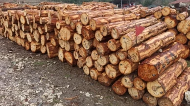 Taşova OİM'de Damgalı ve Barkodlu Üretim Faaliyetleri Devam Ediyor