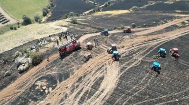 30 dönüm ekili arazi yangında kül oldu