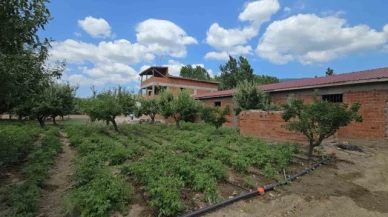 Alacak verecek meselesi kanlı bitti