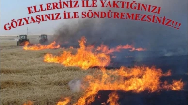 Amasya'da 108 anız yangını meydana geldi