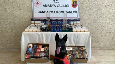 Amasya’da 18 bin 670 dal içi tütün doldurulmuş makaron ele geçirildi