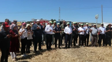 Amasya’da Buğday Hasadı Törenle Başladı