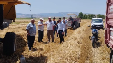 Biçerdöver Kontrolleri Devam Ediyor