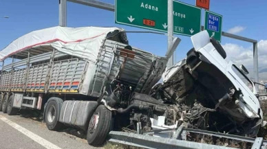 Büyükbaş hayvan yüklü tır devrildi: 2 kişi yaralandı, 7 büyükbaş hayvan telef oldu
