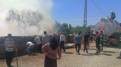 Çıkan yangında 1 kişi hastaneye kaldırıldı, 20 küçükbaş hayvan son anda kurtuldu