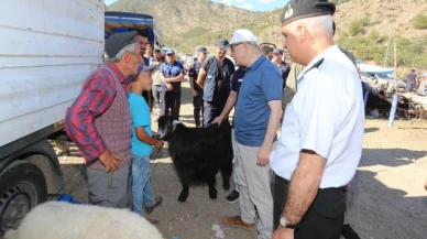 Doruk, Canlı Hayvan Pazarı'nda İncelemelerde Bulundu