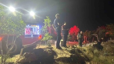 Ormanlık alandaki yangın 4 saatte söndürüldü