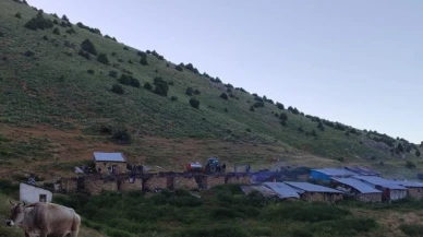 Soba yayla evlerini kül etti