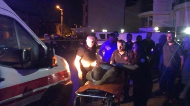 Tarla meselesi kanlı bitti: 4 yaralı