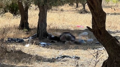 15 yıldır zeytinlikte yaşayan şahıs ölü bulundu