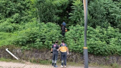 3 gündür kendisinden haber alınamayan şahıs ormanlık alanda ölü bulundu