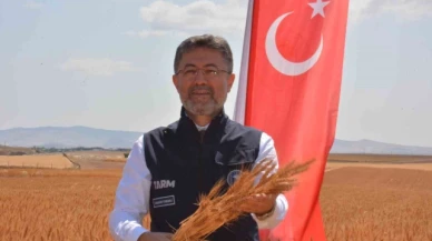 Bakan Yumaklı, yerli buğday tohumlarının hasadına katıldı