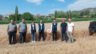 Buğday Hasat Programı Gerçekleştirildi