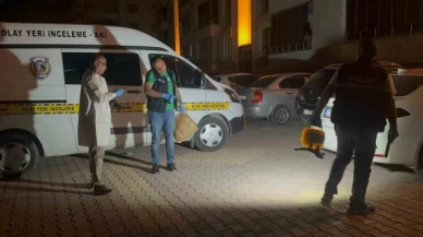 Cinayet şüphelisi tutuklandı
