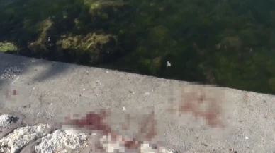 Feci cinayet: Önce bıçakladılar, sonra denize attılar