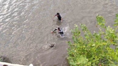 Gagasına olta takılan karabatak kuşunu dalgıçlar kurtardı