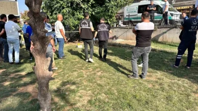 Gaziantep'te yaşlı bir adam parkta ölü bulundu