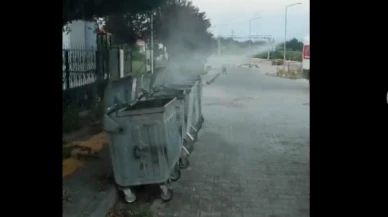 Göynücek’te ilaçlama çalışmaları devam ediyor
