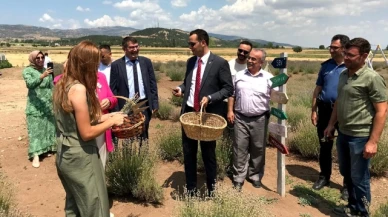 Hökelek, Lavanta Hasat Şenliği'ne Katıldı