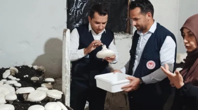Kartal, mantar yetiştirme ve uygulama alanını ziyaret etti