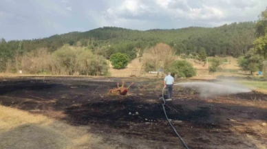 Mangal ateşinden çıkan yangından 2 dönüm ekili alan zarar gördü