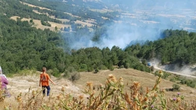 Son 2 günde 3'üncü orman yangını