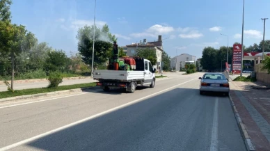 Suluova, Sinekle Mücadelede Her Noktada