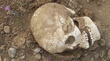 Yol ortasında insan kafatası bulundu