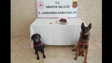 Amasya'da uyuşturucu operasyonu: 1 kişi tutuklandı