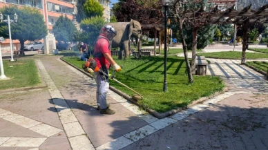 Amasya’da Yabani Otlar Temizlendi