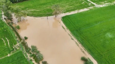 Bafra Ovası'nda tarım arazileri sular altında