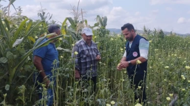 Çelik’ten, bamya yetiştiriciliği yapan çiftçiye ziyaret
