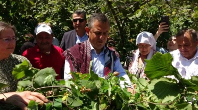 CHP Lideri Özel'den 'fındık fiyatı' eleştirisi: "Hızla revize edilmeli"