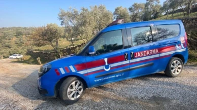 Gittiği bahçede ölü bulundu