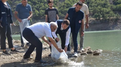 Göynücek’e 25 bin Yavru Sazan Bırakıldı