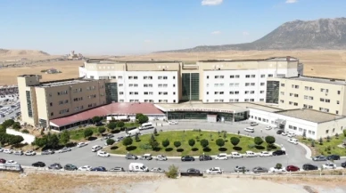 Hastanın gözünde canlı kene çıktı