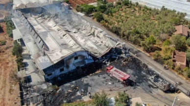 Karton fabrikası kül oldu, maddi hasar 100 milyon TL