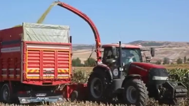 Silajlık Mısır Biçimleri Devam Ediyor