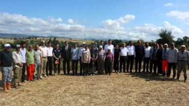 Tescilli 'Çiçek Bamyası' Hasadı Başladı