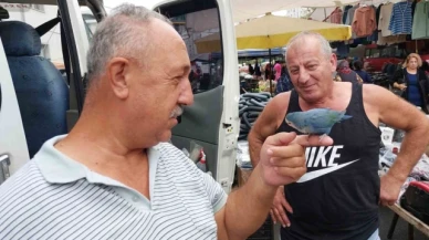2 yıldır çarşı pazar omuzunda Sevda Papağanı ile geziyor