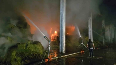 Amasya'da çiftlikte korkutan yangın: Yağmurlama sistemiyle yangının büyümesini önlediler