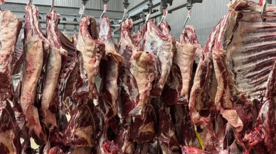 Amesia Gıda, et ürünlerinin satışını sürdürüyor