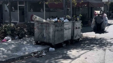 Çöp konteyneri içinde yeni doğmuş erkek bebek bulundu
