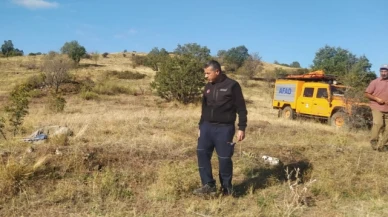 Çorum'da hayvan otlatmaya giden çoban ormanlık alanda ölü bulundu
