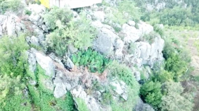 Dron tespit etti, jandarma yakaladı