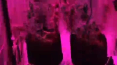 Evinde özel iklimlendirme düzeneğiyle uyuşturucu imal eden şahıs yakalandı